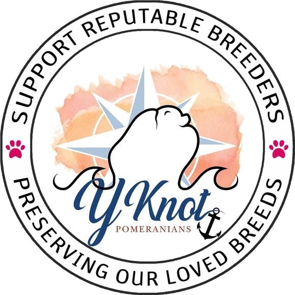 Meet your Posher, Beverly - Picture 1 of 1